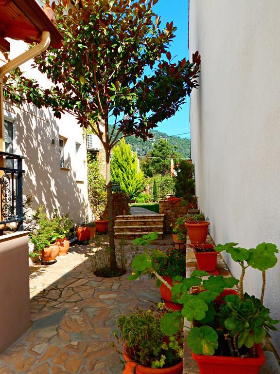 Panorama Apartments And Studios Chrysi Ammoudia Exteriér fotografie